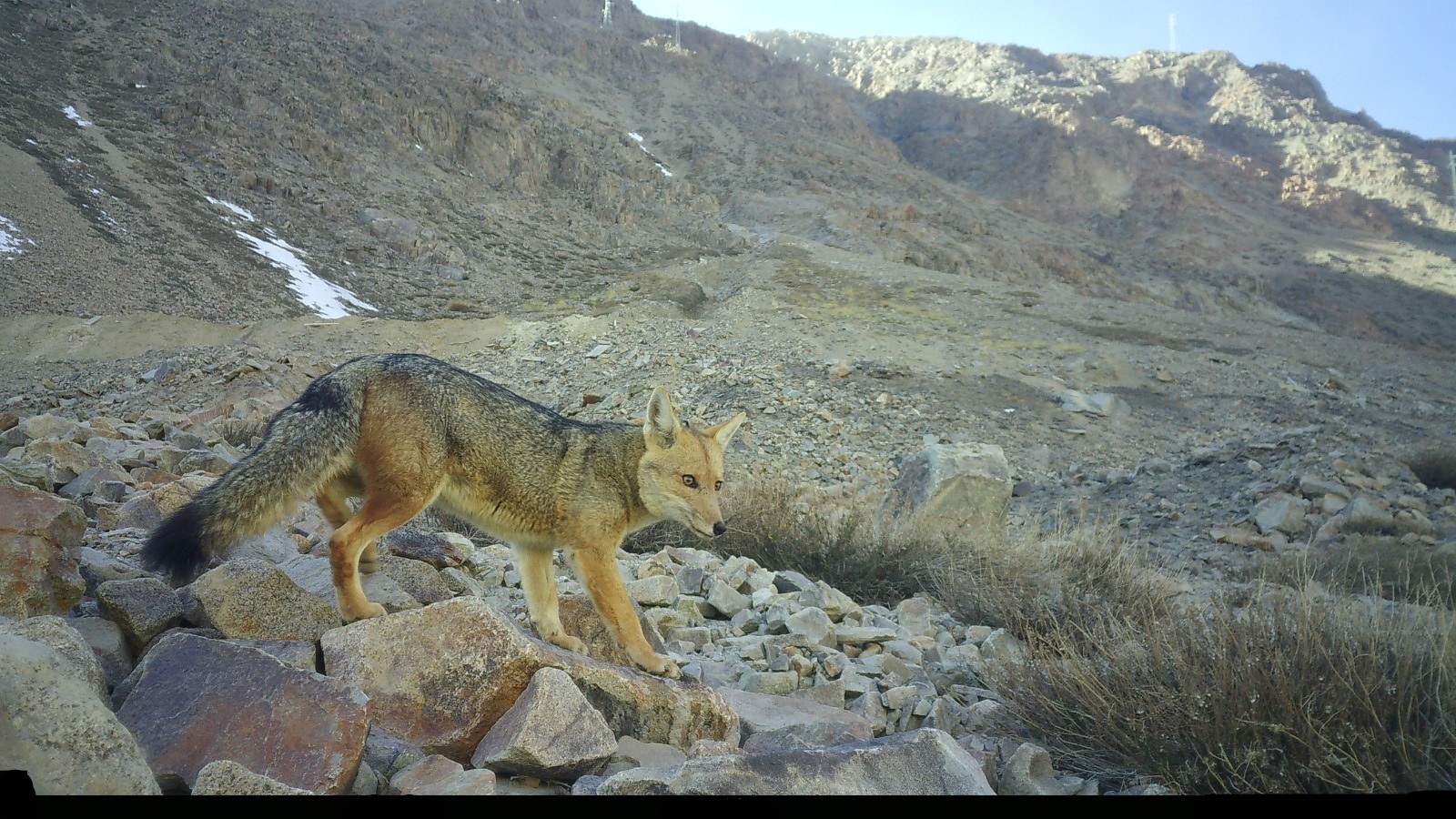 Imagen de WhatsApp 2025-09-09 a las 14.19.32_27e26079 Imagen de WhatsApp 2025-09-09 a las 14.19.32_27e26079