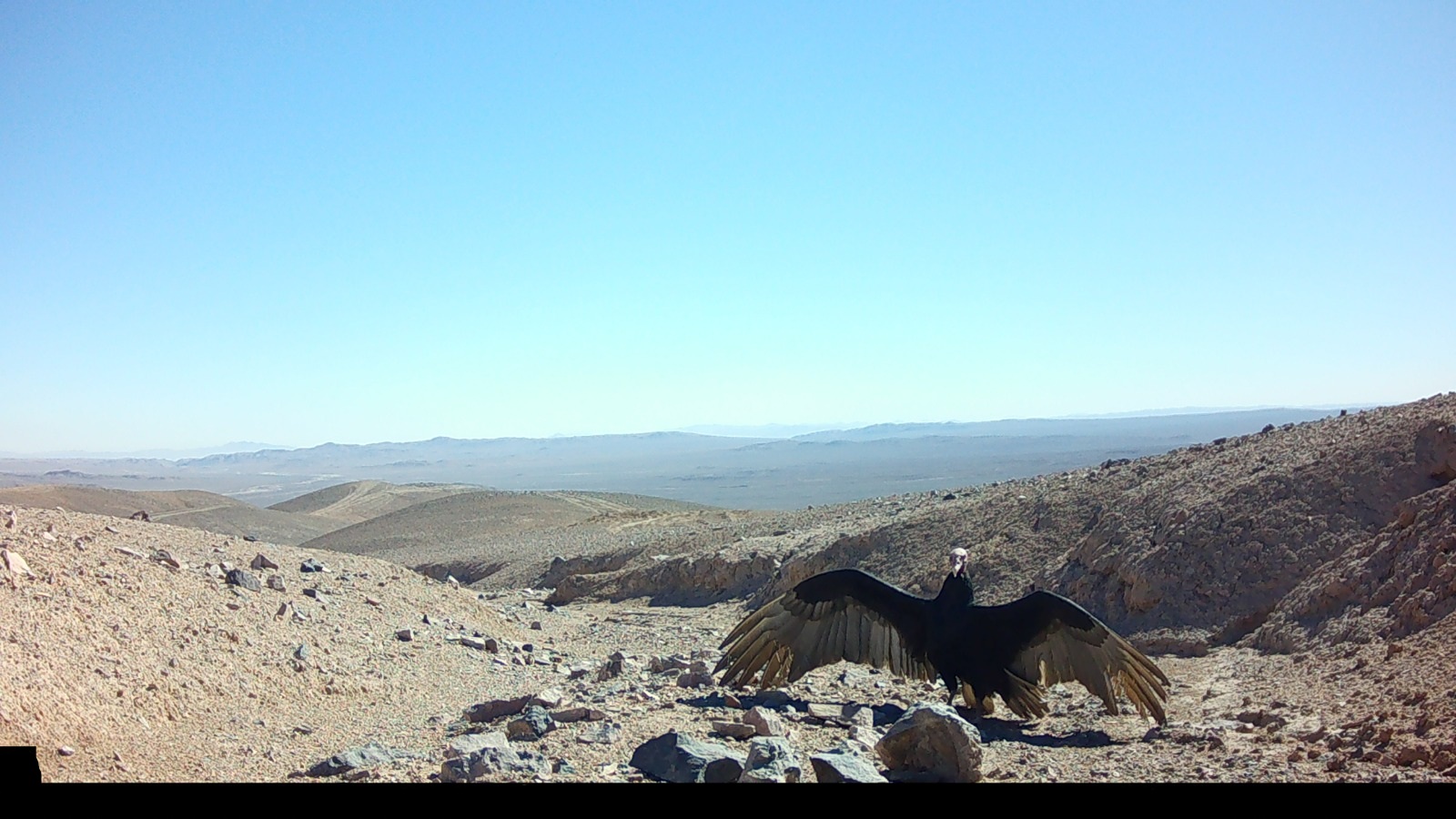 Imagen de WhatsApp 2025-09-09 a las 14.21.16_47957d4c Imagen de WhatsApp 2025-09-09 a las 14.21.16_47957d4c