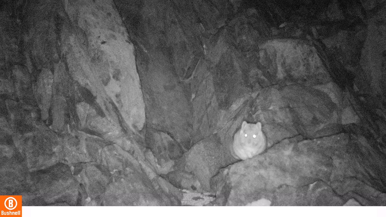 Imagen de WhatsApp 2025-09-09 a las 15.47.11_96930fe2 Imagen de WhatsApp 2025-09-09 a las 15.47.11_96930fe2