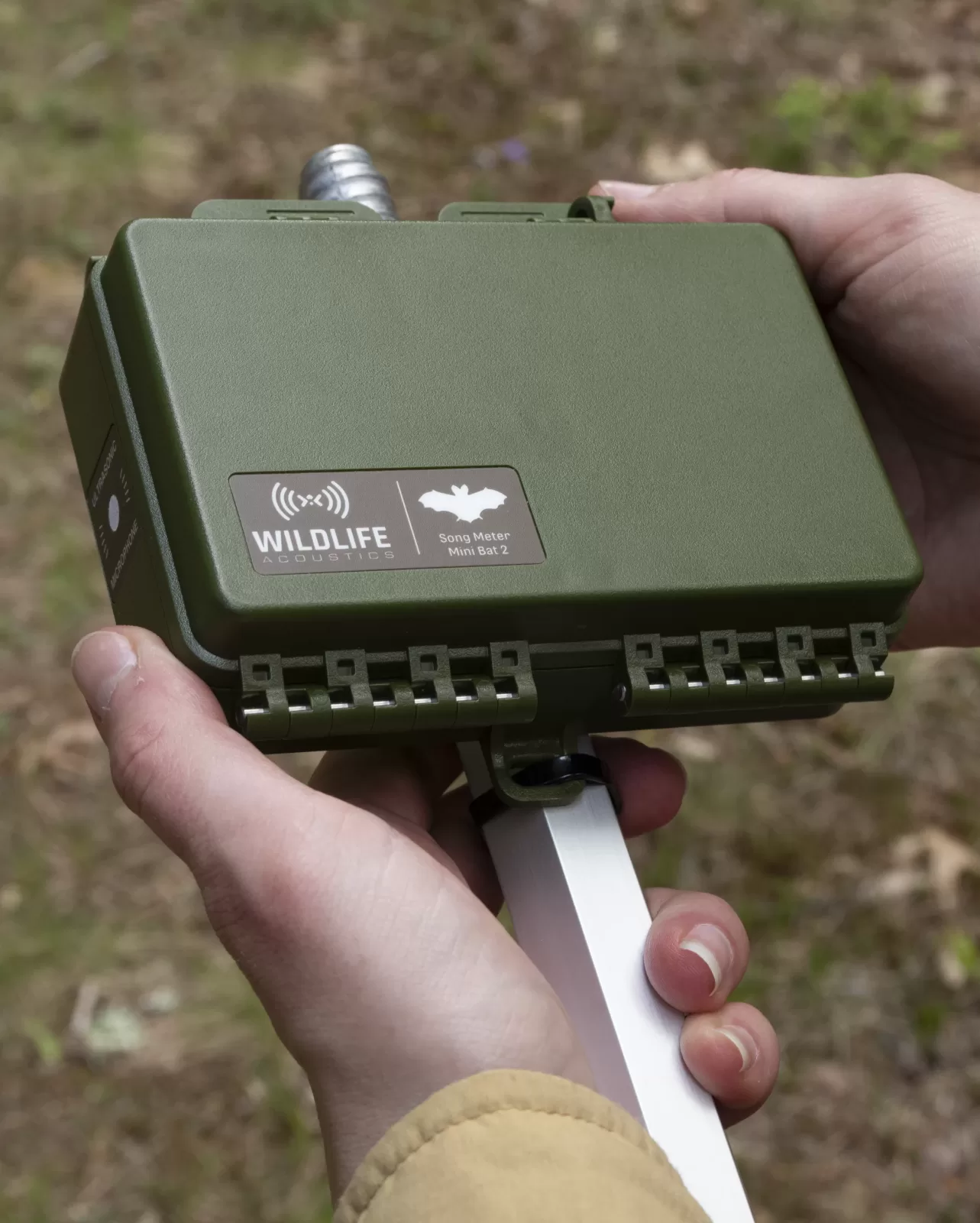 Song-Meter-MiniBAT2-Photoshoot051725-1836