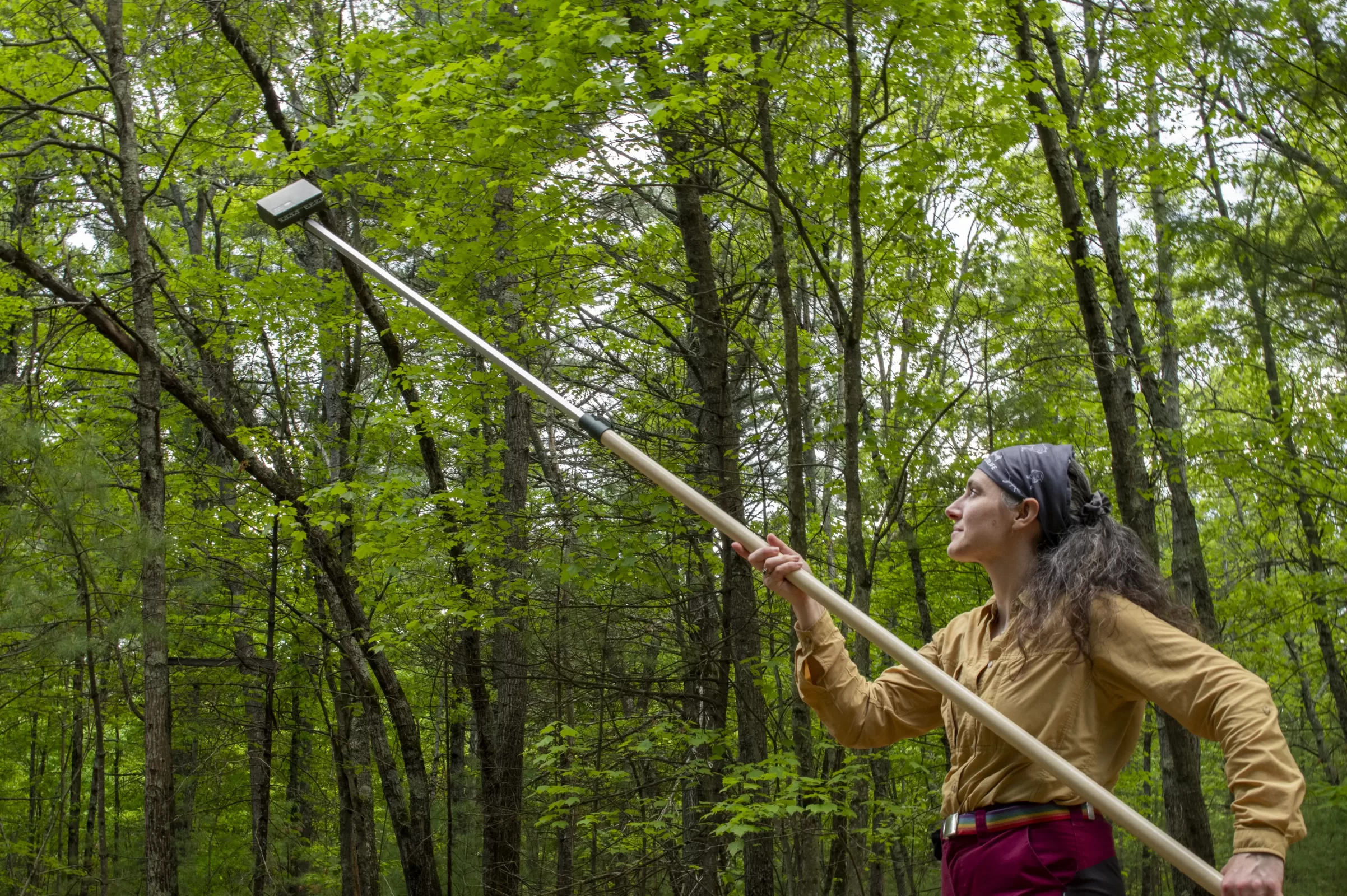 Song-Meter-MiniBAT2-Photoshoot051725-1884